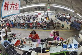 福建泉州新闻爆料台,聚焦本土热点,解码民生故事 第2张 福建泉州新闻爆料台,聚焦本土热点,解码民生故事 第2张